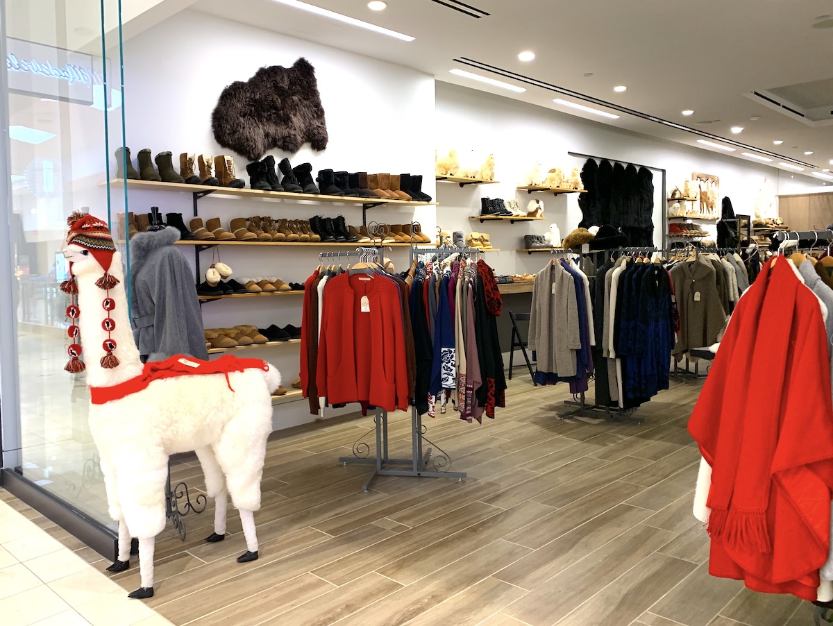 Sheep Store Alpacas are back - Store Reporter